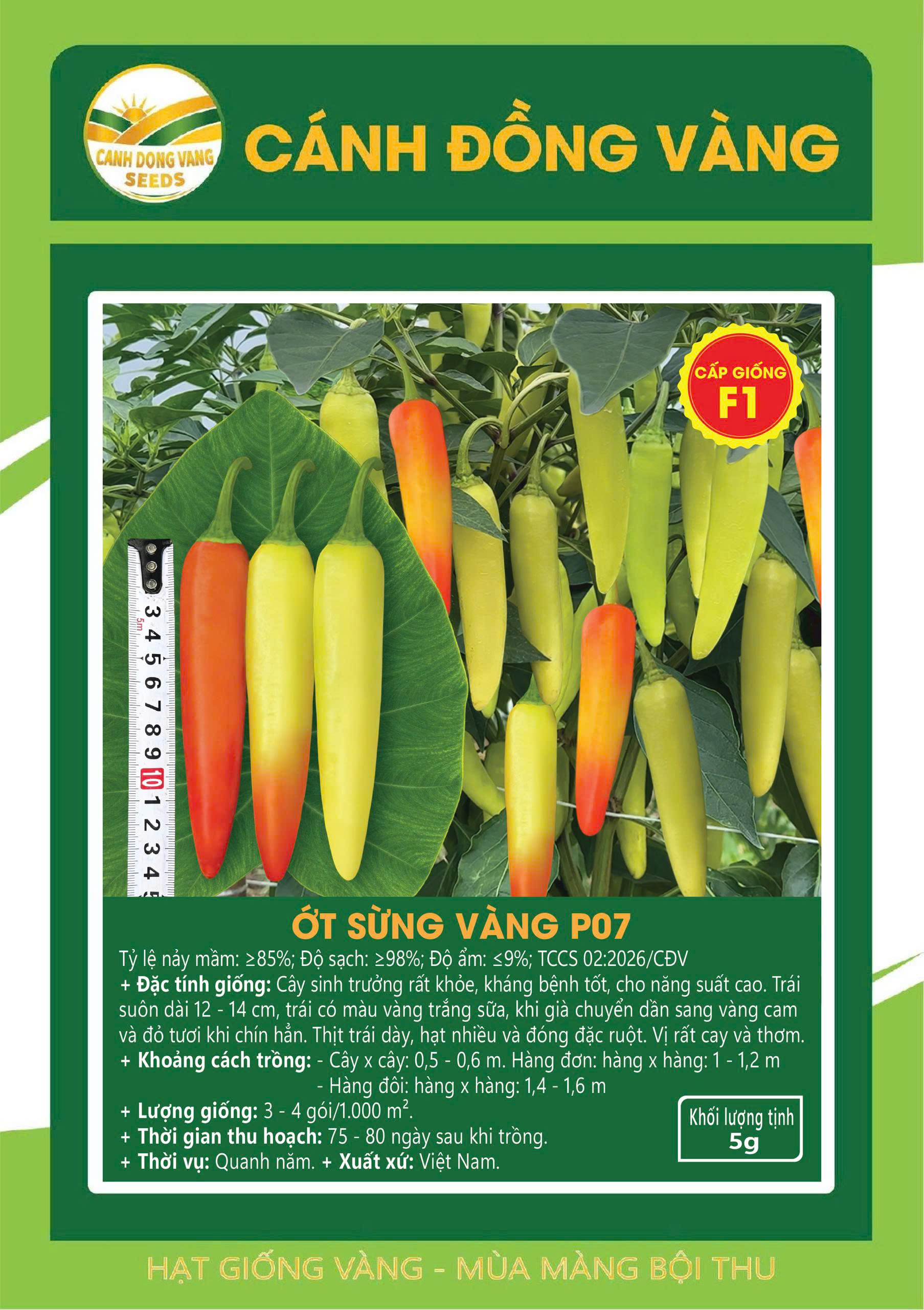 ỚT SỪNG VÀNG P07